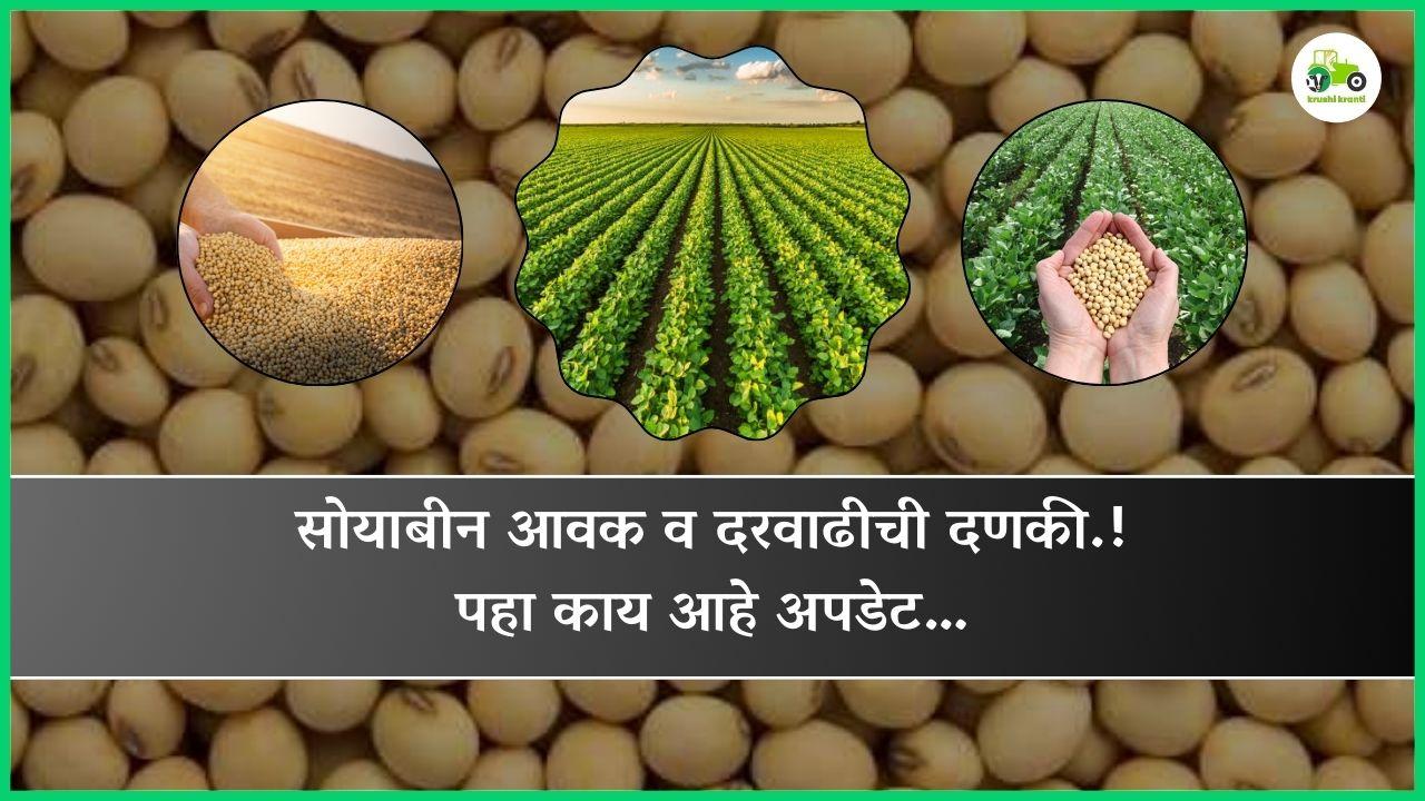 सोयाबीन आवक व दरवाढीची दणकी.! पहा काय आहे अपडेट…