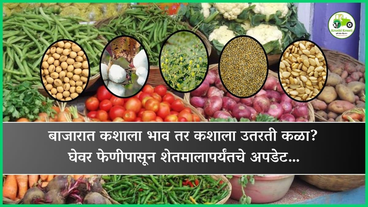 बाजारात कशाला भाव, कशाला उतरती कळा? घेवर फेणीपासून शेतमालापर्यंतचे अपडेट…