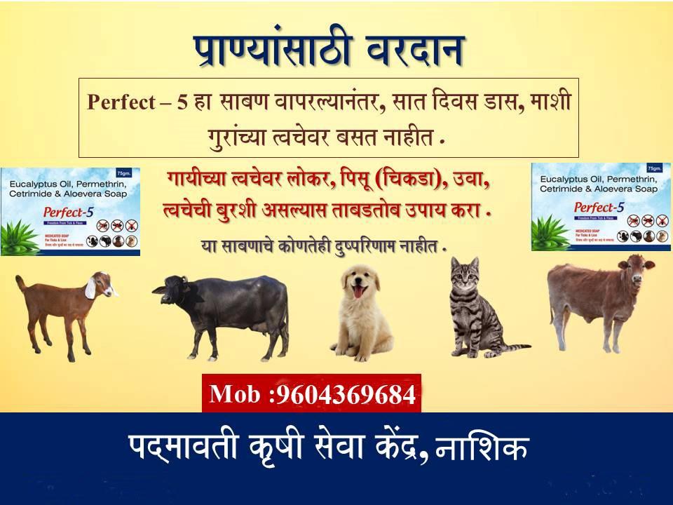 जनावरांसाठी साबण मिळेल
