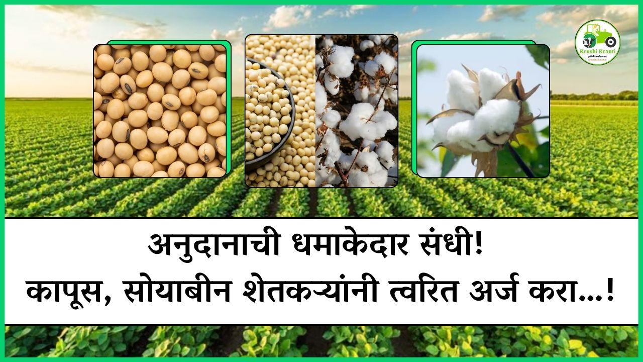₹5000 अनुदानाची धमाकेदार संधी! कापूस-सोयाबीन शेतकऱ्यांनी त्वरित अर्ज करा…!