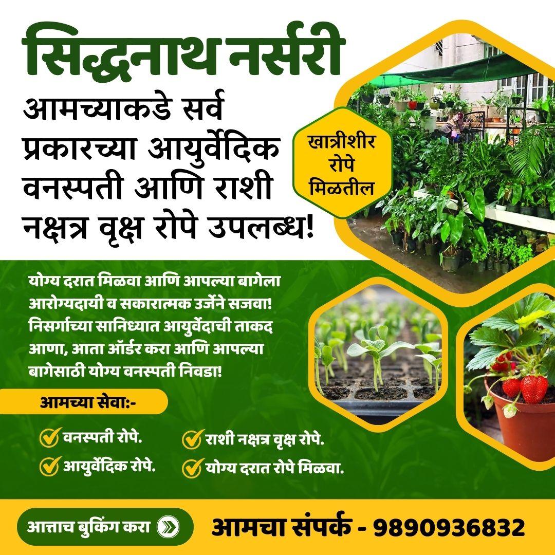 सिद्धनाथ नर्सरी