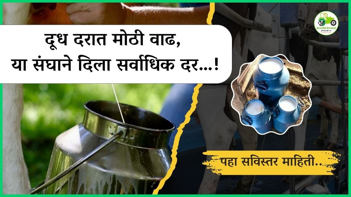 दूध दरात मोठी वाढ, या संघाने दिला सर्वाधिक दर…!