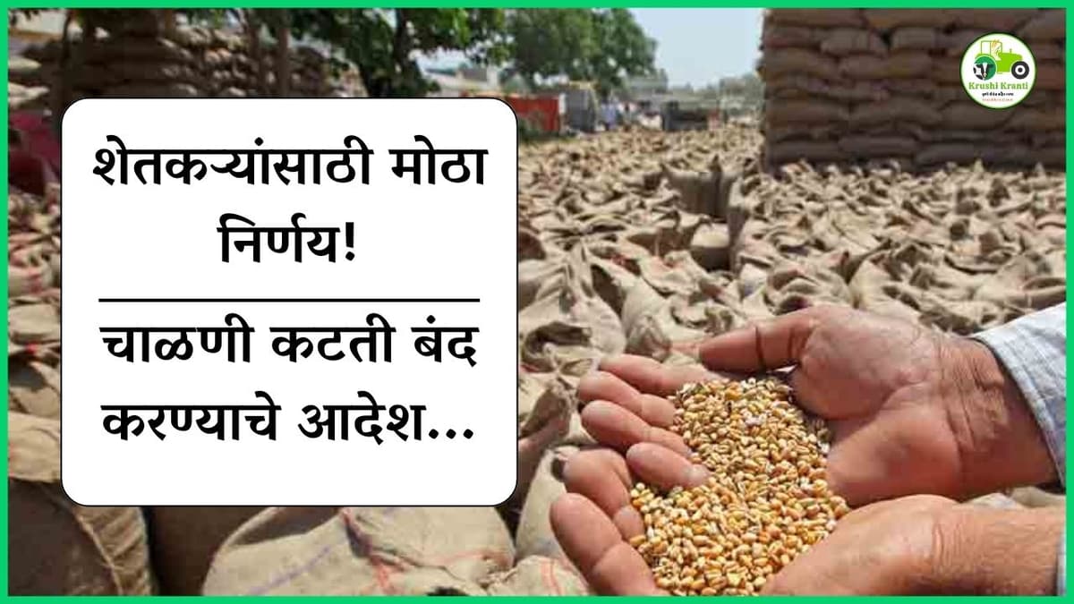 राज्याच्या 'या' बाजार समितीत शेतकऱ्यांना न्याय, चाळणी कटती बंद करण्याचे आदेश जारी…