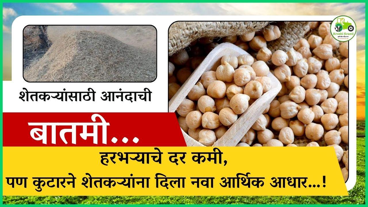 हरभऱ्याचे दर कमी, पण कुटारने शेतकऱ्यांना दिला नवा आर्थिक आधार…!
