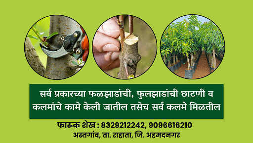 आमच्याकडे सर्व प्रकारची कलमे व सर्व प्रकारची छाटणी करून मिळेल