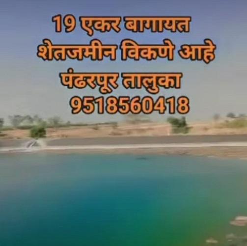 19 एकर जमीन विकणे आहे