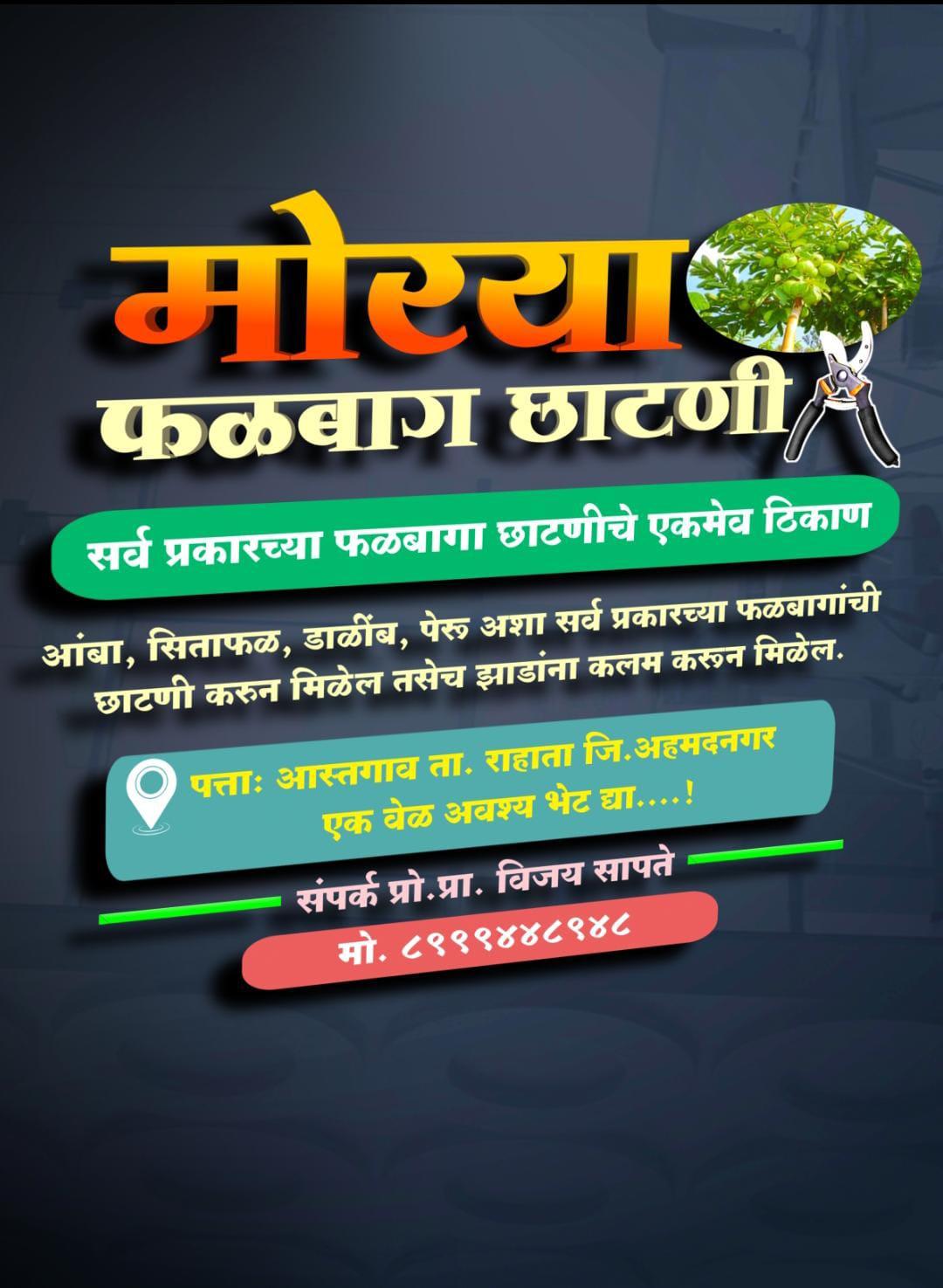 मोरया फळबाग छाटणी 