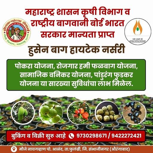 हुसेन बाग हायटेक नर्सरी