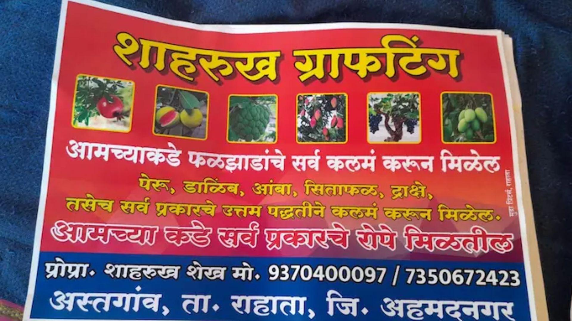 शाहरुख ग्राफटिंग 