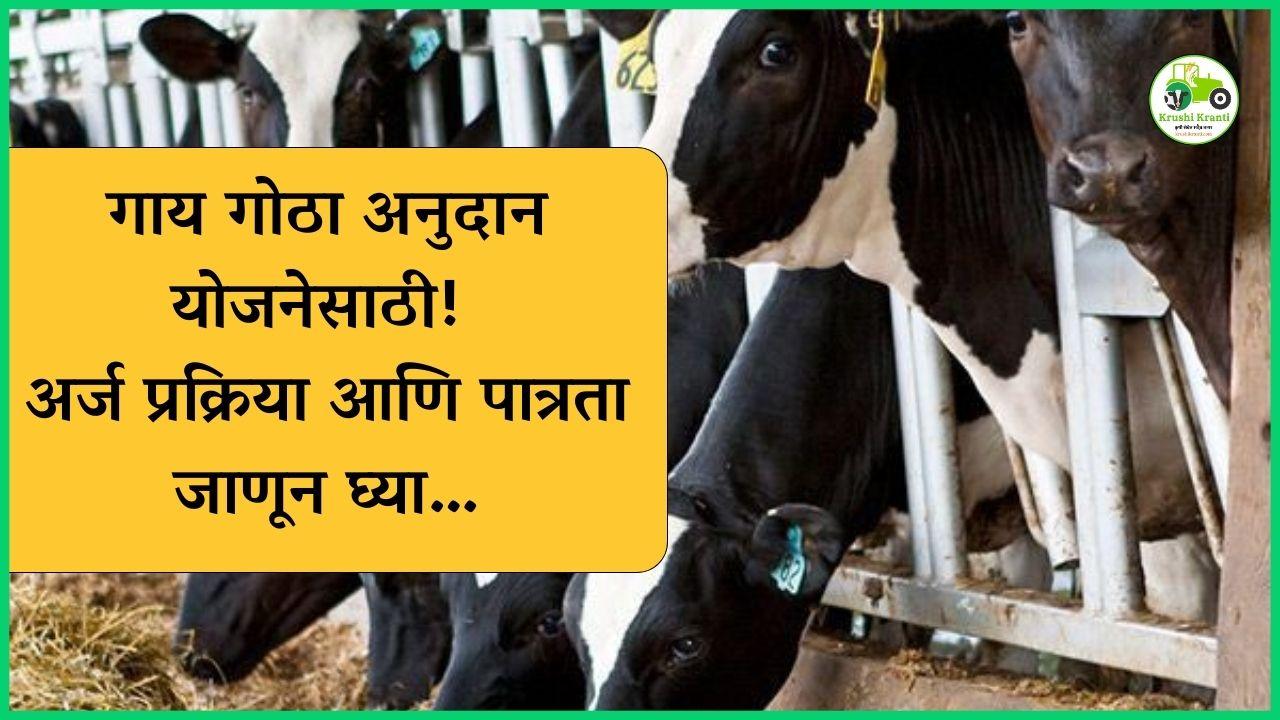 गाय गोठा अनुदान योजनेसाठी! अर्ज प्रक्रिया आणि पात्रता जाणून घ्या…