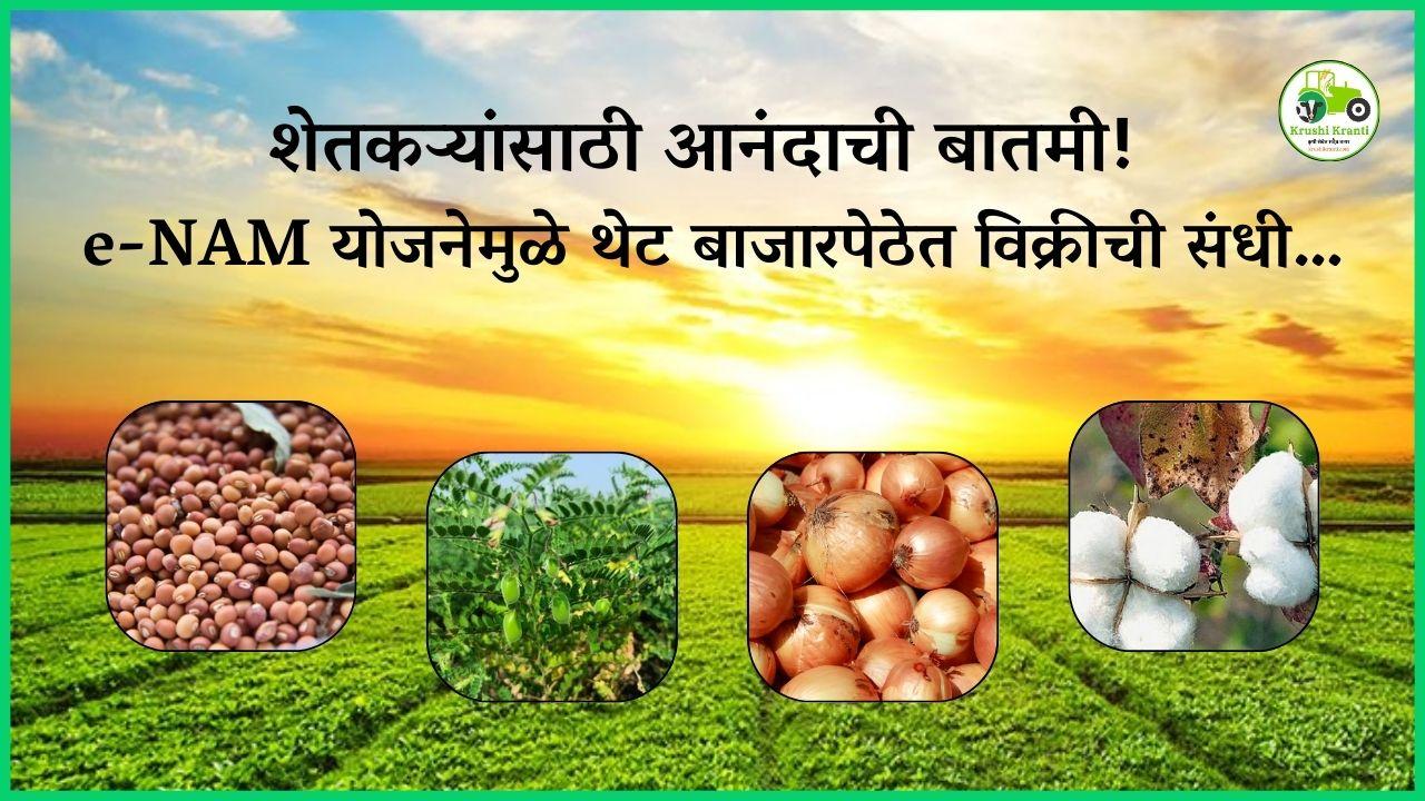 शेतकऱ्यांसाठी आनंदाची बातमी! e-NAM योजनेमुळे थेट बाजारपेठेत विक्रीची संधी…