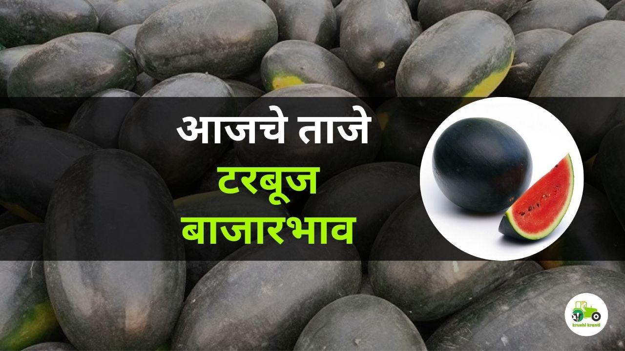 आजचे टरबूज बाजारभाव