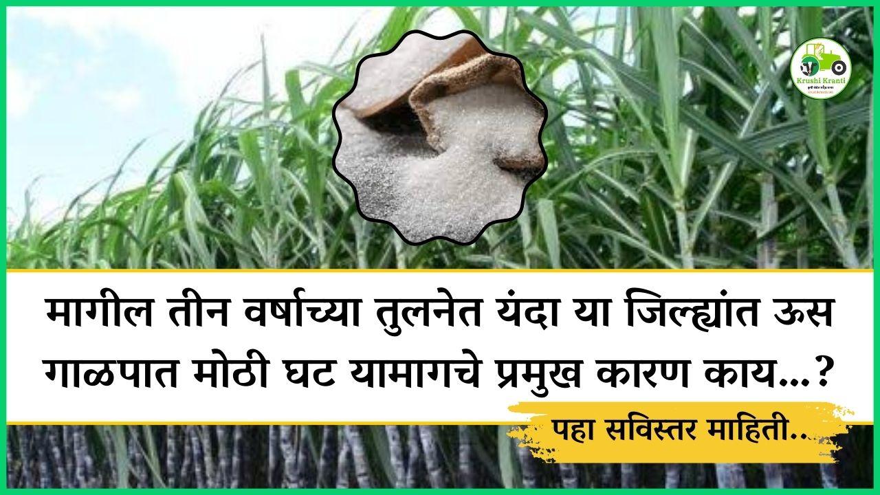 साखर कारखान्यांवर संकट, उत्पादन घटण्यामागचे प्रमुख कारण काय…?