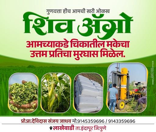 मुरघास विक्रीस उपलब्ध आहे