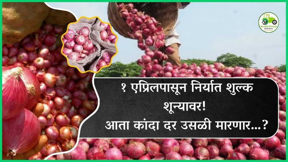 १ एप्रिलपासून निर्यात शुल्क शून्यावर! आता कांदा दर उसळी मारणार…?