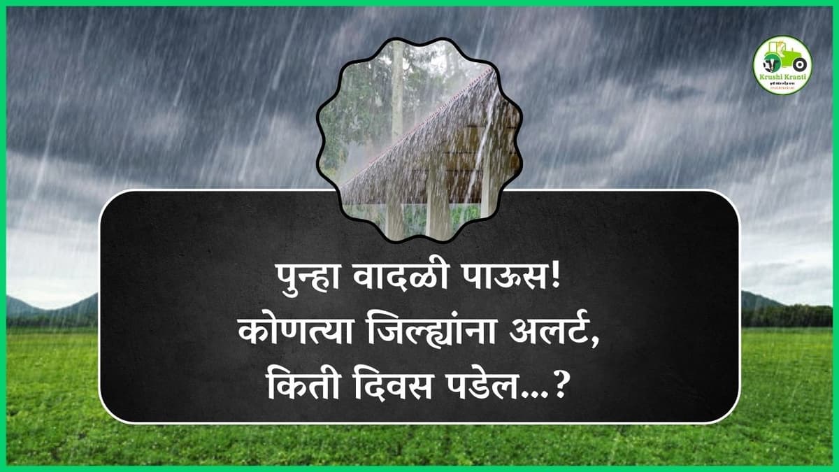 पुन्हा वादळी पाऊस! कोणत्या जिल्ह्यांना अलर्ट, किती दिवस पडेल…?