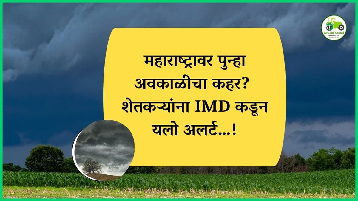 महाराष्ट्रावर पुन्हा अवकाळीचा कहर? शेतकऱ्यांना IMD कडून यलो अलर्ट…!