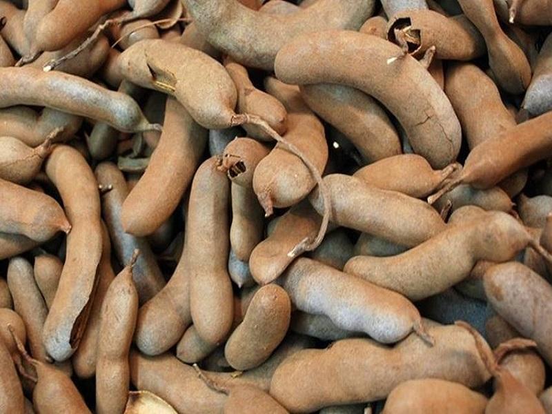 चिंच विक्रीसाठी उपलब्ध आहे