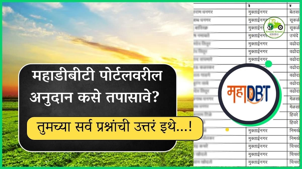 कसोटीला लागलेलं अनुदान, महाडीबीटी पोर्टलवर कसं तपासावं…?