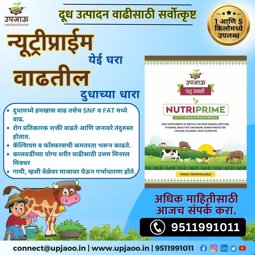 काळजी पशुधनाची, खात्री NUTRIPRIME ची!