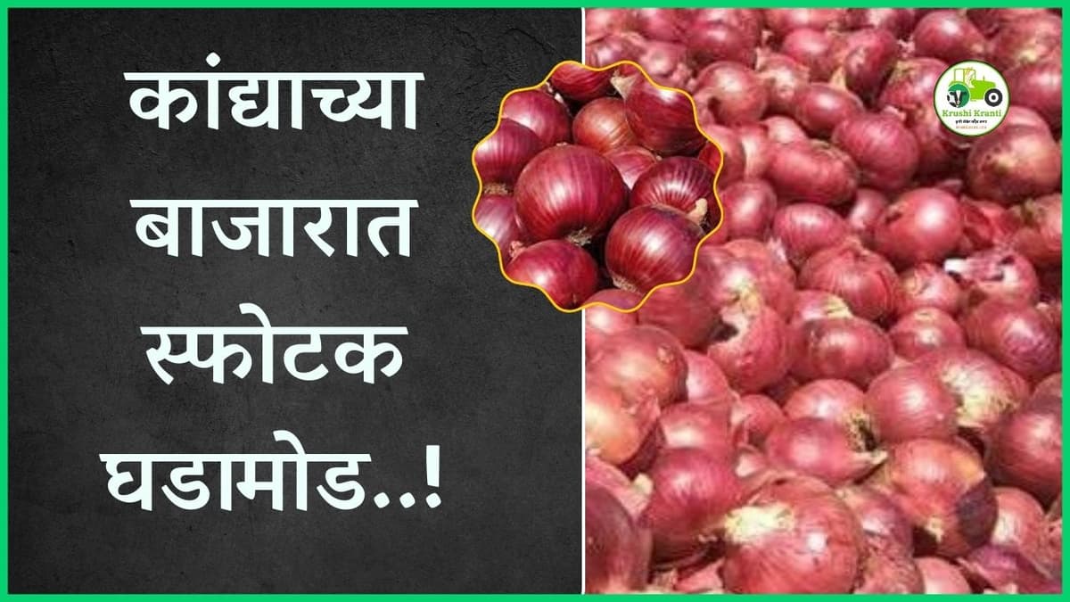 कांद्याच्या बाजारात स्फोटक घडामोड…!
