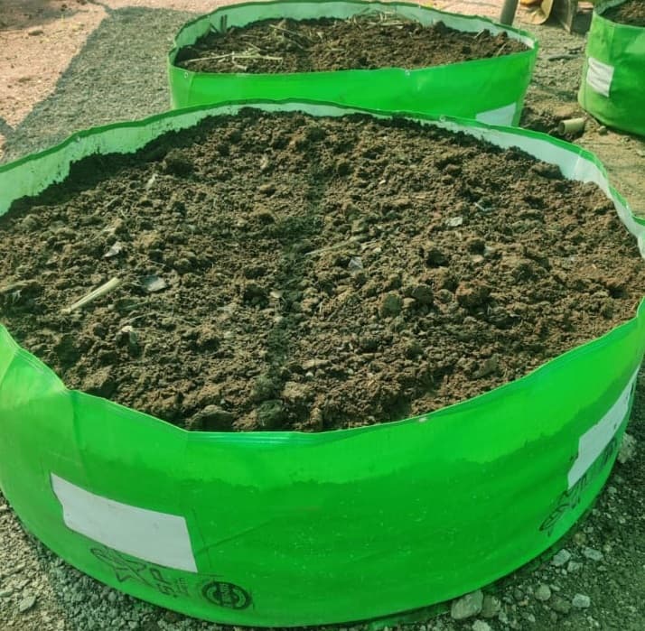 गांडूळ खत बनवण्यासाठी लागणारे तयार वर्मी बेड उपलब्ध