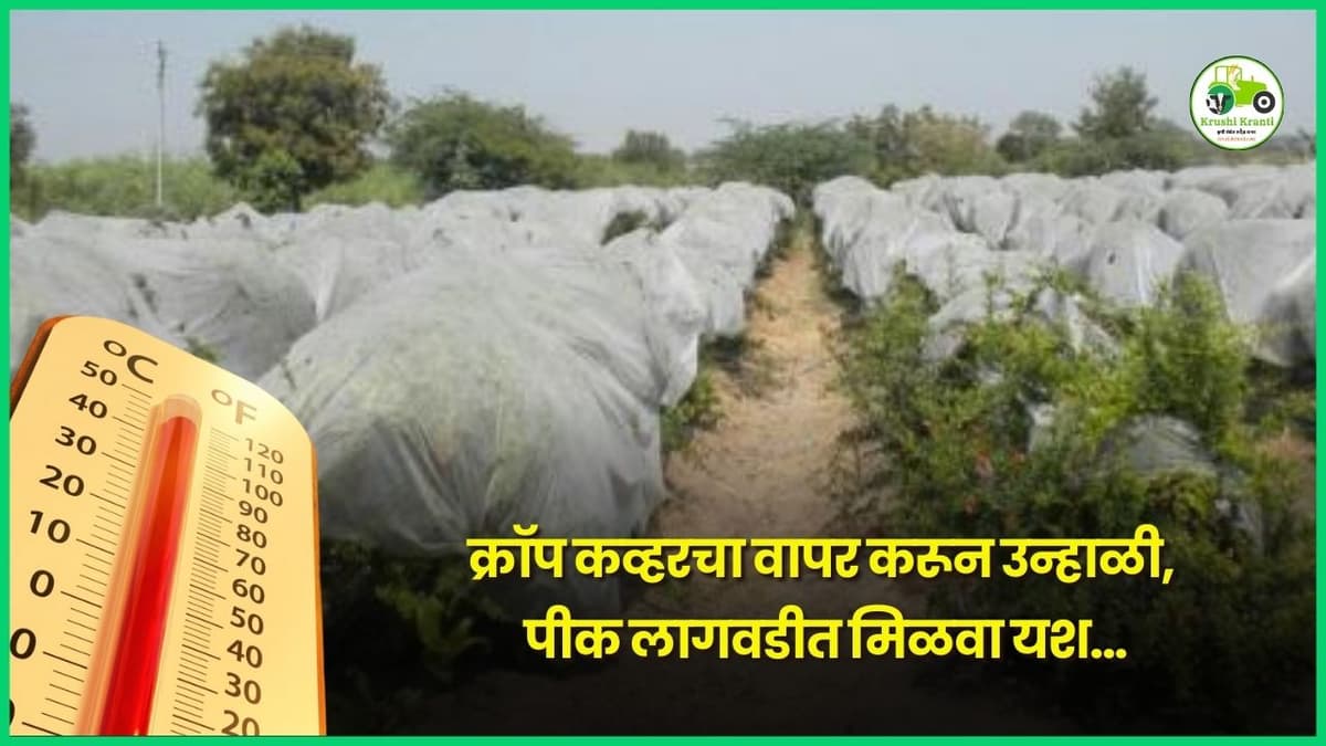 क्रॉप कव्हरचा वापर करून उन्हाळी पीक लागवडीत मिळवा यश...