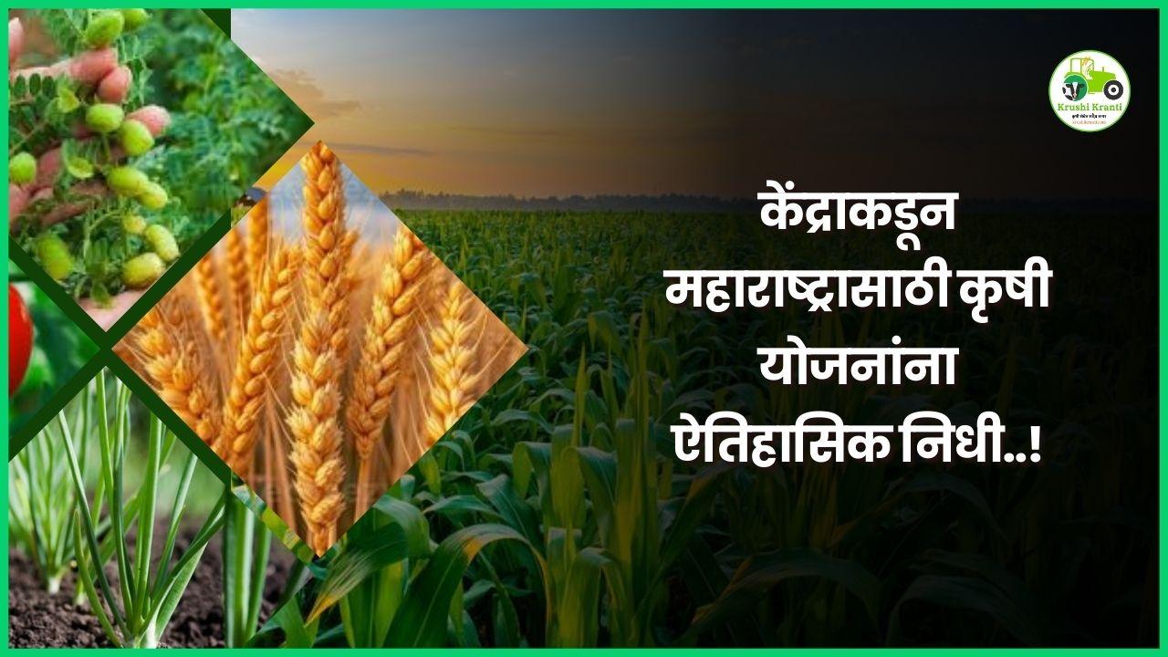 महाराष्ट्रात केंद्राचा कृषी योजनांसाठी कोटींचा ऐतिहासिक निधी मंजूर, पहा काय आहे सविस्तर बातमी...!