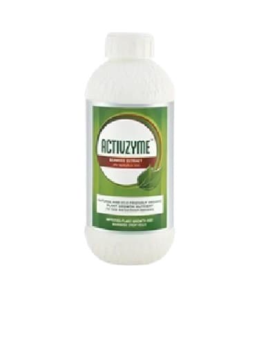 अँक्टिव्हझाईम