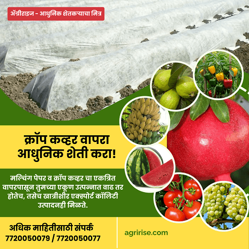 ॲग्रीराइज क्रॉप कव्हर वापरा आधुनिक शेती करा