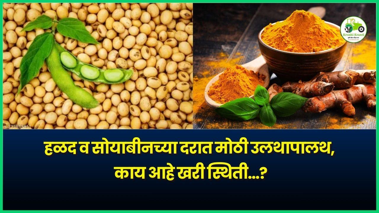 हळद व सोयाबीनच्या दरात मोठी उलथापालथ, काय आहे खरी स्थिती…?