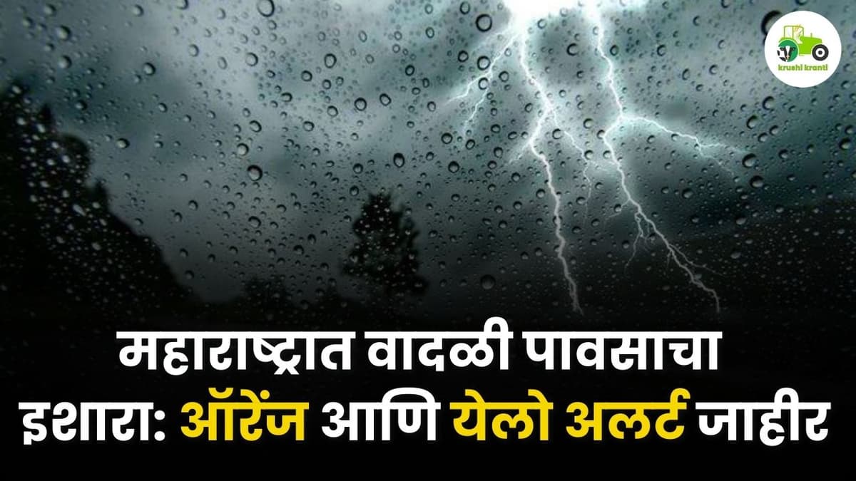 महाराष्ट्रात वादळी पावसाचा इशारा: ऑरेंज आणि येलो अलर्ट जाहीर