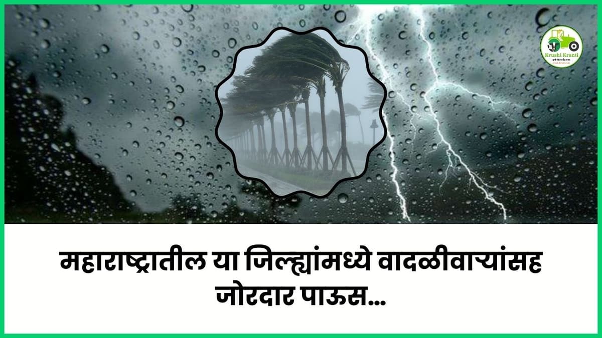 महाराष्ट्रातील या जिल्ह्यांमध्ये वादळीवाऱ्यांसह जोरदार पाऊस…