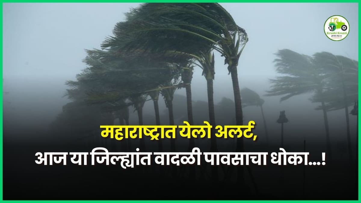 महाराष्ट्रात येलो अलर्ट, आज या जिल्ह्यांत वादळी पावसाचा धोका…!