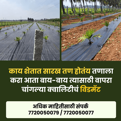 तण नियंत्रण विडमॅट