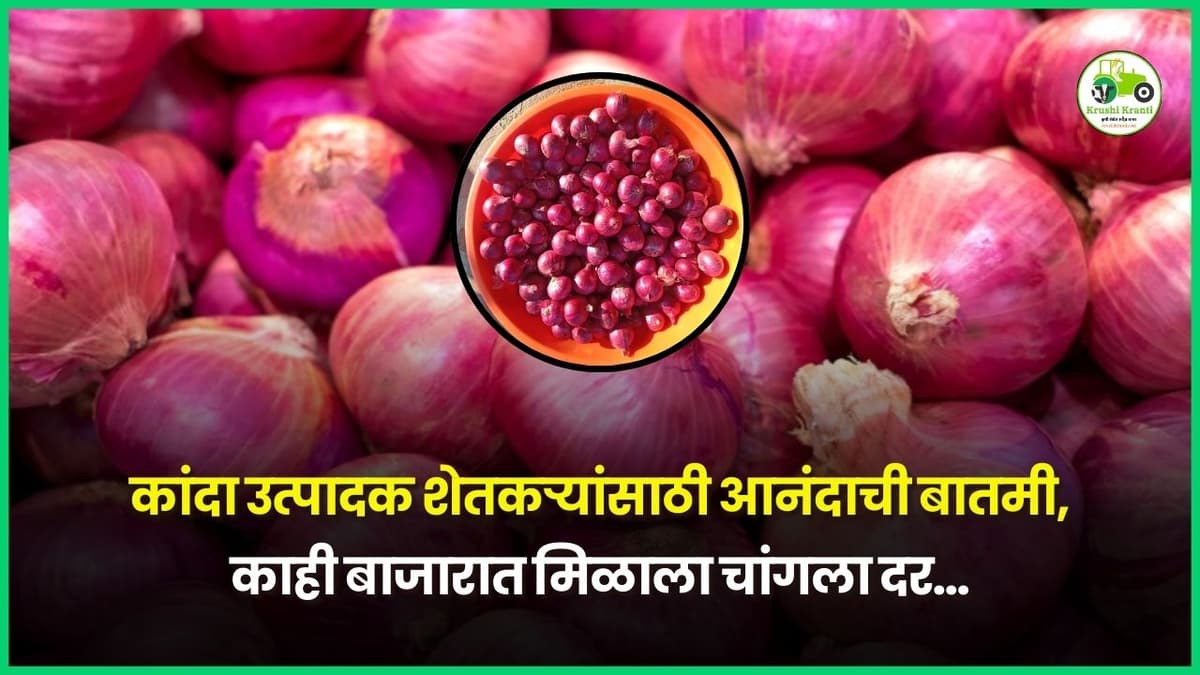कांदा उत्पादक शेतकऱ्यांसाठी आनंदाची बातमी, काही बाजारात मिळाला चांगला दर…