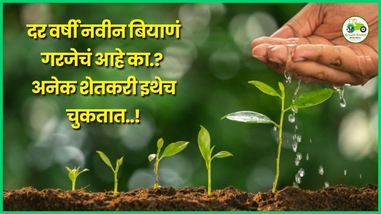 दर वर्षी नवीन बियाणं गरजेचं आहे का? अनेक शेतकरी इथेच चुकतात..!