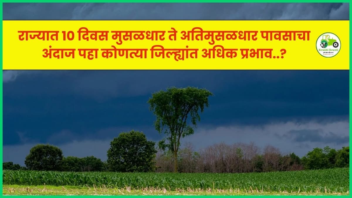 राज्यात १० दिवस मुसळधार ते अतिमुसळधार पावसाचा अंदाज, पहा कोणत्या जिल्ह्यांत अधिक प्रभाव..?