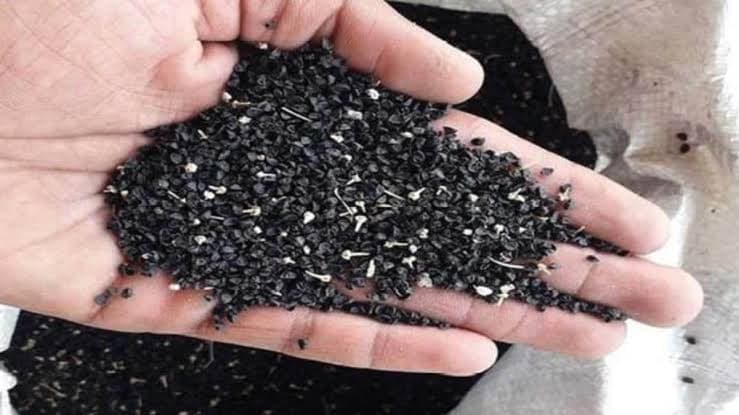 कांदा बियाणे पाहिजे आहे