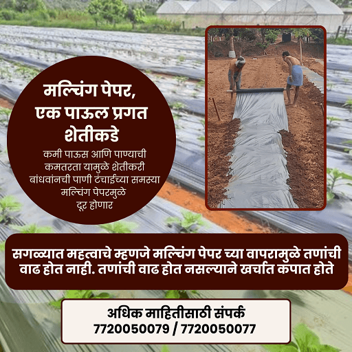 🌱मल्चिंग पेपर, एक पाऊल प्रगत शेतीकडे