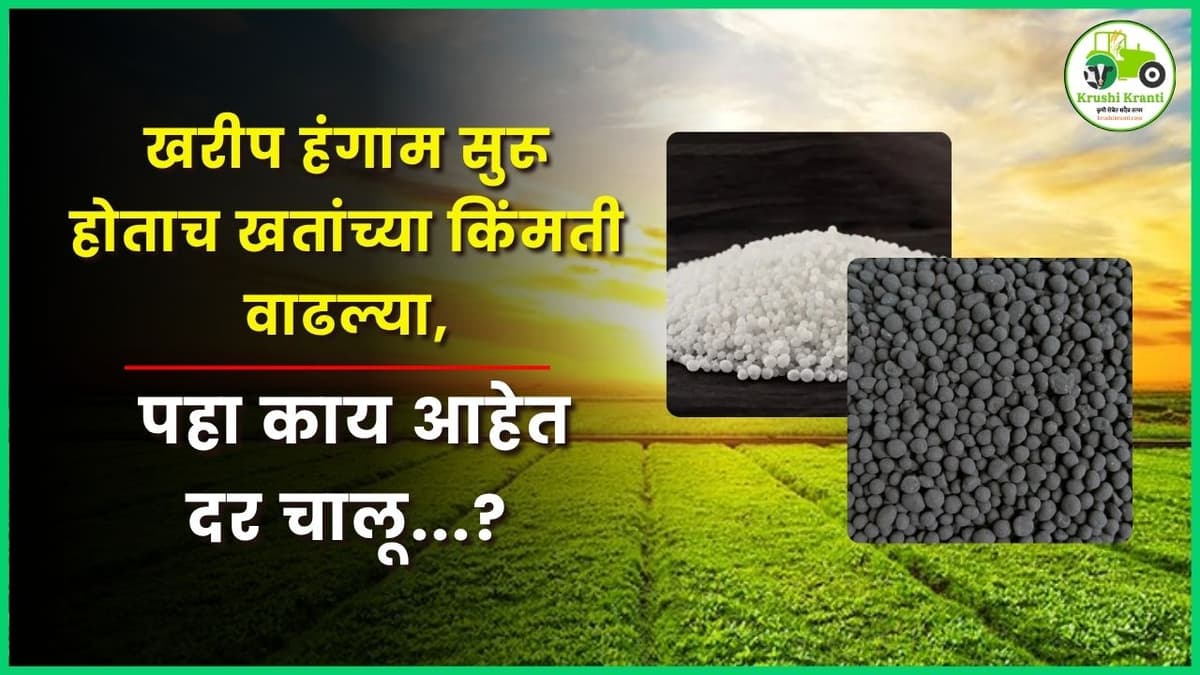 खरीप हंगाम सुरू होताच खतांच्या किंमती वाढल्या, पहा काय आहेत दर चालू...?