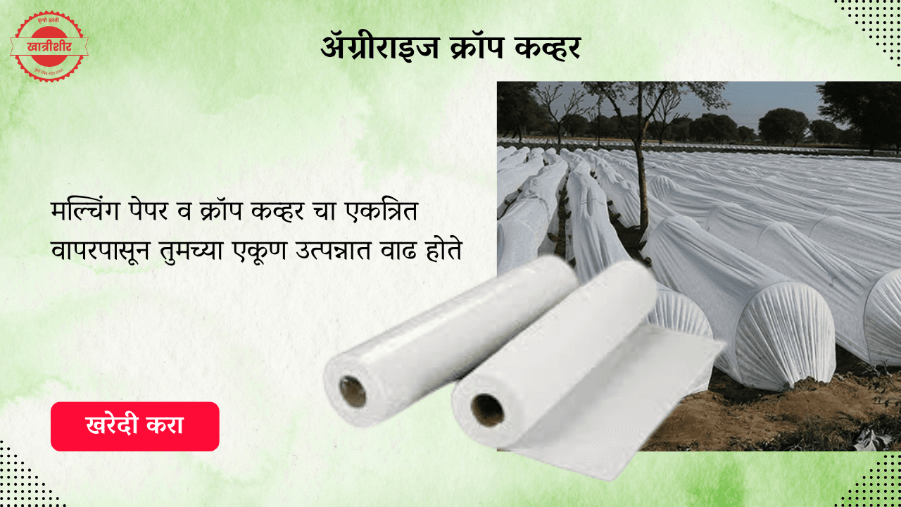 Slide 7