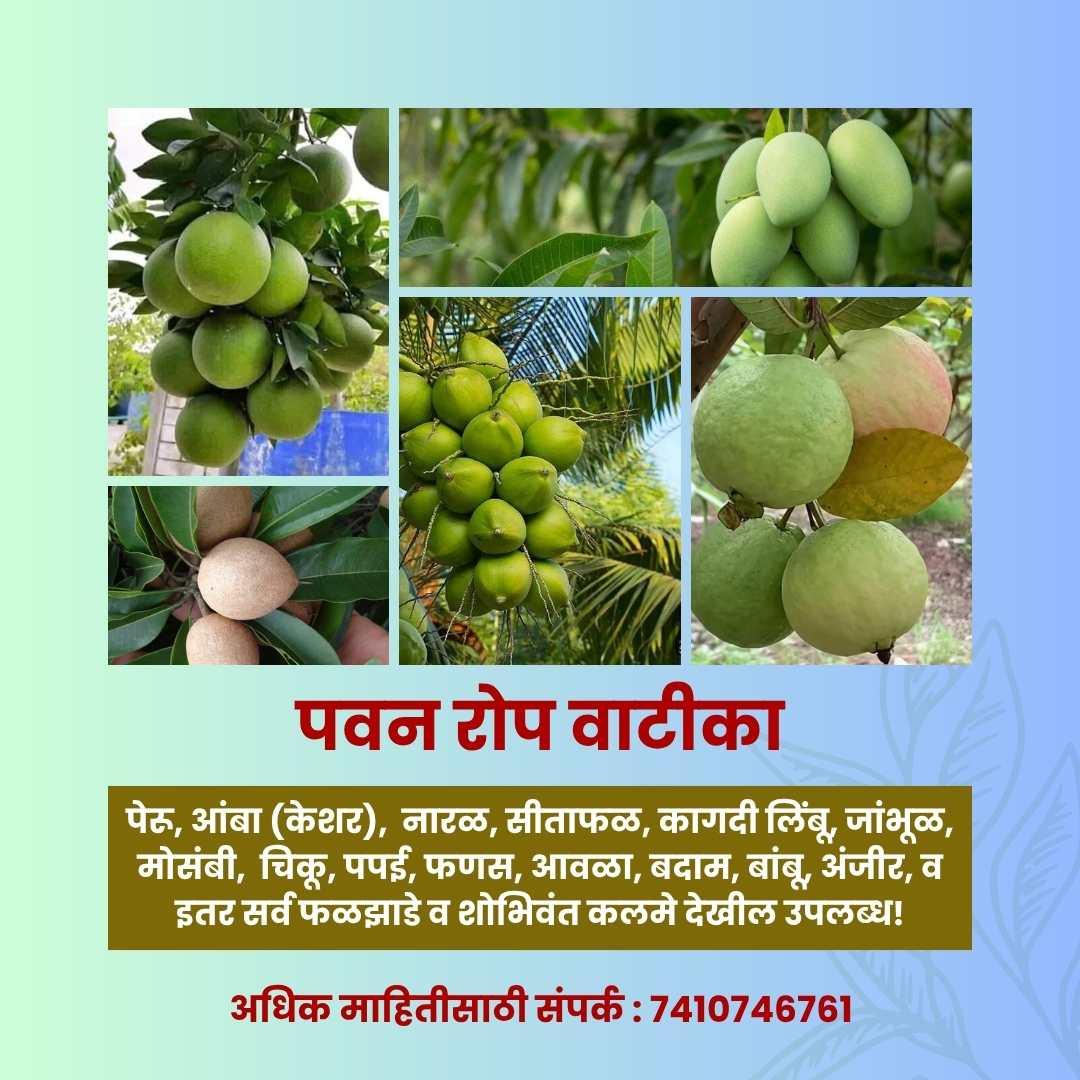 🌱 पवन रोपवाटीका 🌱
