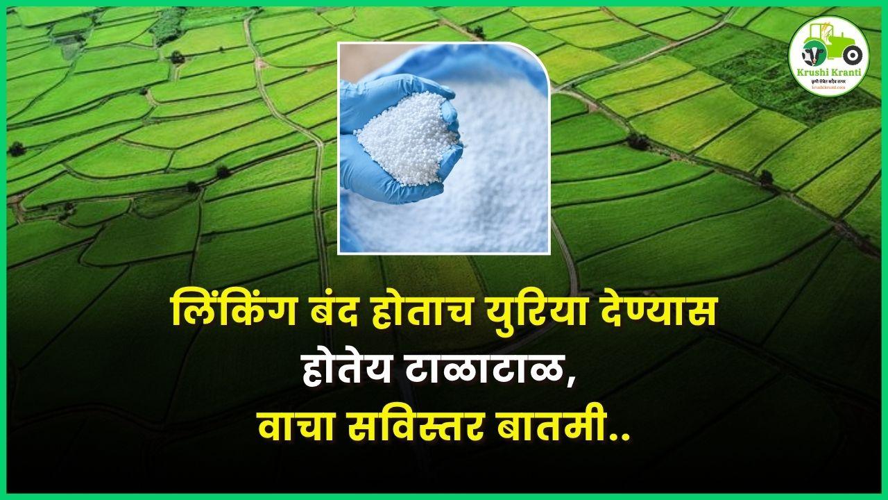 लिंकिंग बंद होताच युरिया देण्यास होतेय टाळाटाळ, वाचा सविस्तर बातमी..
