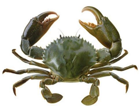 कमीत कमी खर्चात – सर्वात यशस्वी व्यवसायाची सुरुवात करा!