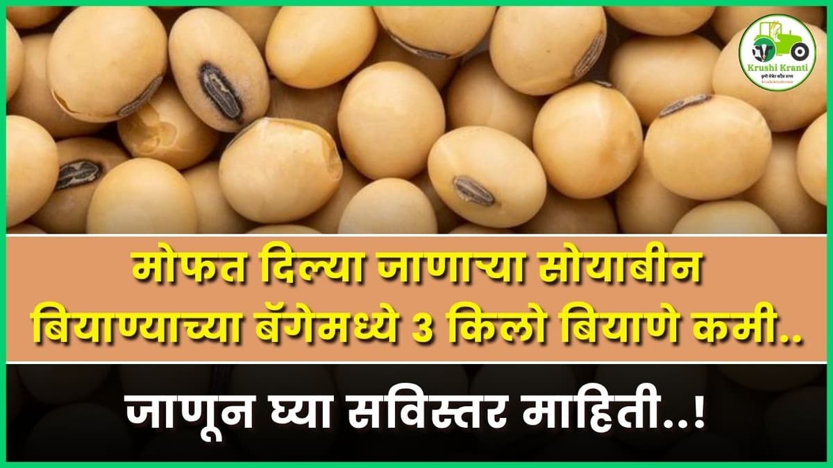 मोफत दिल्या जाणाऱ्या सोयाबीन बियाण्याच्या बॅगेमध्ये ३ किलो बियाणे कमी, जाणून घ्या सविस्तर माहिती..!