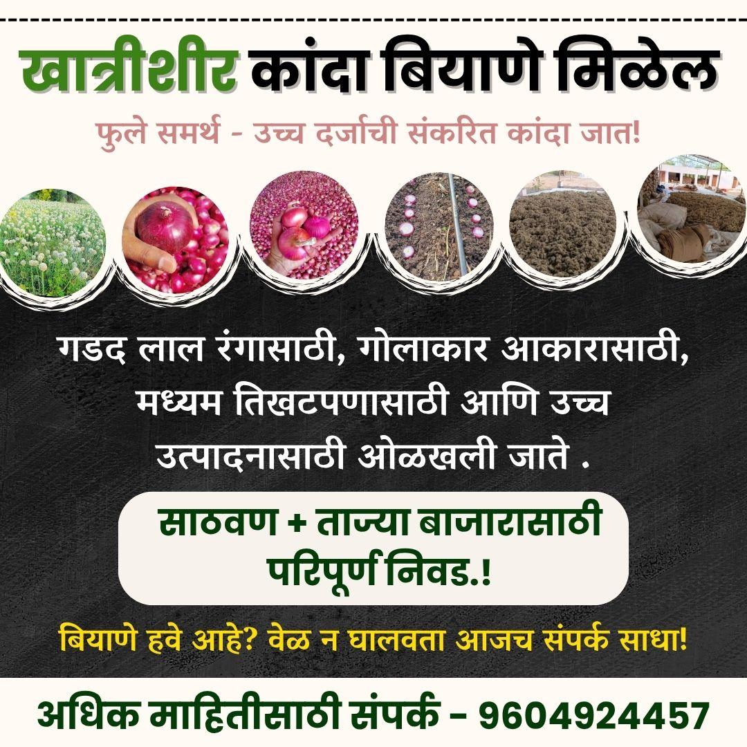 खात्रीशीर कांदा बियाणे मिळेल