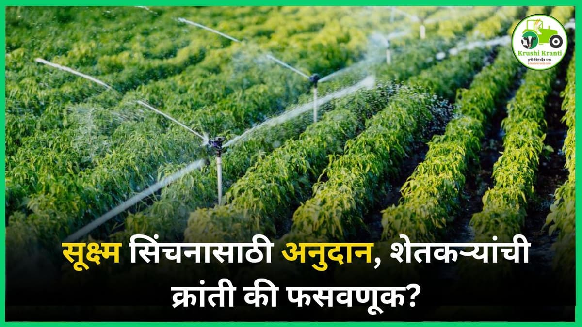 सूक्ष्म सिंचनासाठी अनुदान, शेतकऱ्यांची क्रांती की फसवणूक?