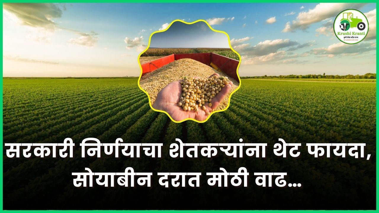 सरकारी निर्णयाचा शेतकऱ्यांना थेट फायदा, सोयाबीन दरात मोठी वाढ… 