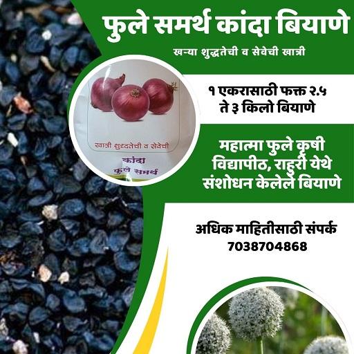कांदा बियाणे विकणे आहे.